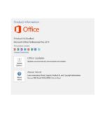 Microsoft Office 2019 Professional Plus