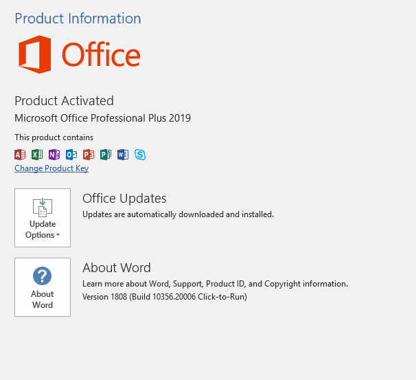 Microsoft Office 2019 Professional Plus