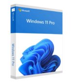 Windows 11 Professional CD License Key