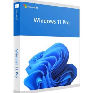 Windows 11 Professional CD License Key