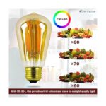 _AcornSolution Vintage Edison LED Light Bulb Exposed Filament AcornSolution Vintage Edison LED Light Bulb Exposed Filament