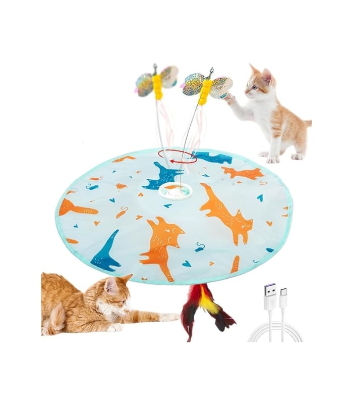 2-in-1 Rechargeable Motion Activated Interactive Cat Toys for Indoor Cats