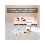 2-in-1 Rechargeable Motion Activated Interactive Cat Toys for Indoor Cats