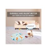 2-in-1 Rechargeable Motion Activated Interactive Cat Toys for Indoor Cats