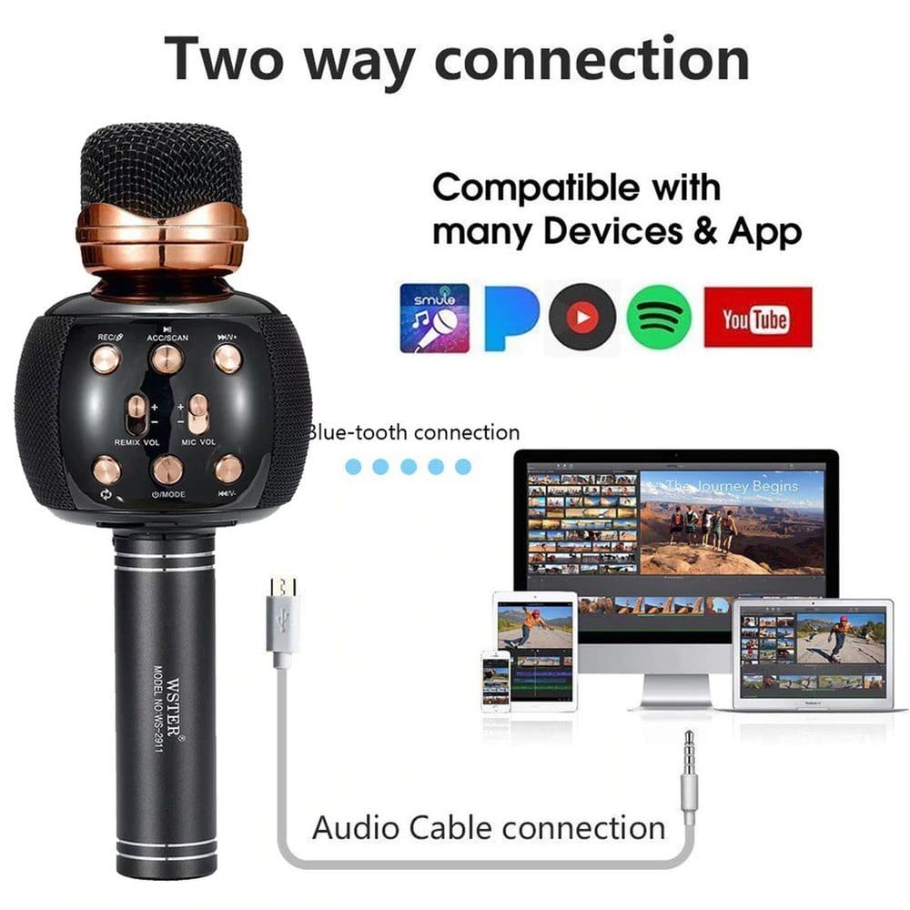BT WSTER WS 2911 Microphone