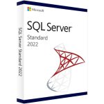 Microsoft SQL Server 2022 Standard License (24 Core)