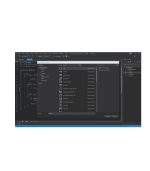 Microsoft Visual Studio 2019 Professional