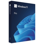 Windows 11 Professional USB Retail Pack