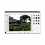 Adobe Photoshop Elements 2027 For Windows Lifetime Activation